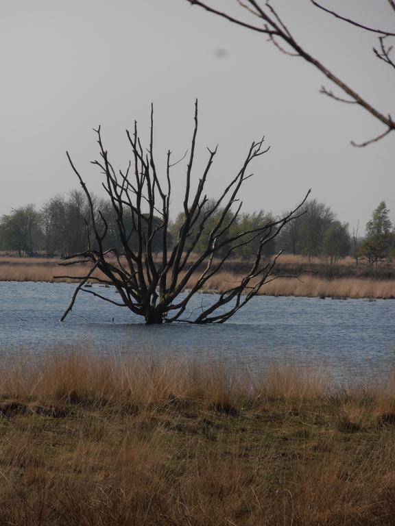 Gezond Boeren Verstand Dalerveen Extérieur photo