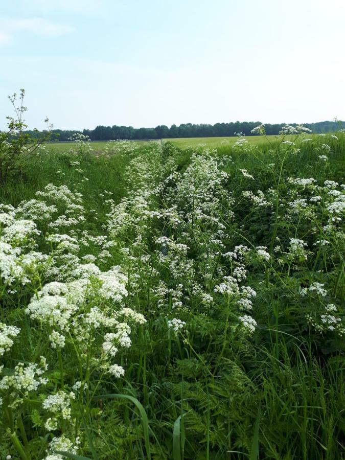Gezond Boeren Verstand Dalerveen Extérieur photo